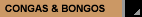Congas & Bongos
